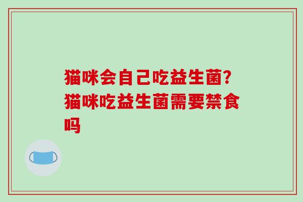 猫咪会自己吃益生菌？猫咪吃益生菌需要禁食吗