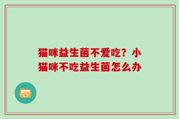 猫咪益生菌不爱吃？小猫咪不吃益生菌怎么办