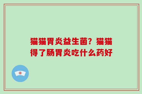 猫猫益生菌？猫猫得了肠吃什么药好