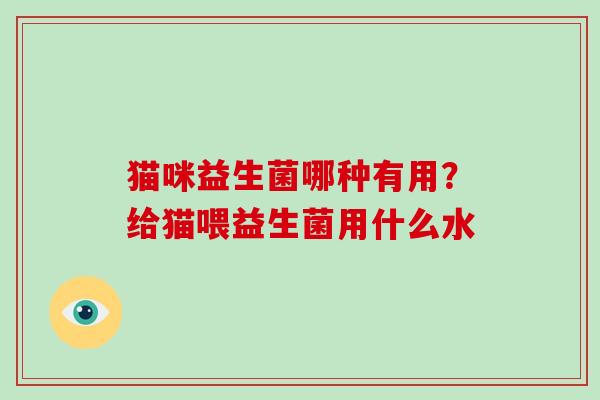 猫咪益生菌哪种有用？给猫喂益生菌用什么水