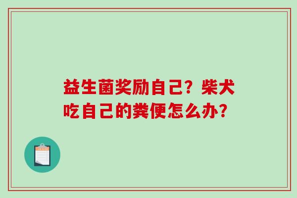 益生菌奖励自己？柴犬吃自己的粪便怎么办？