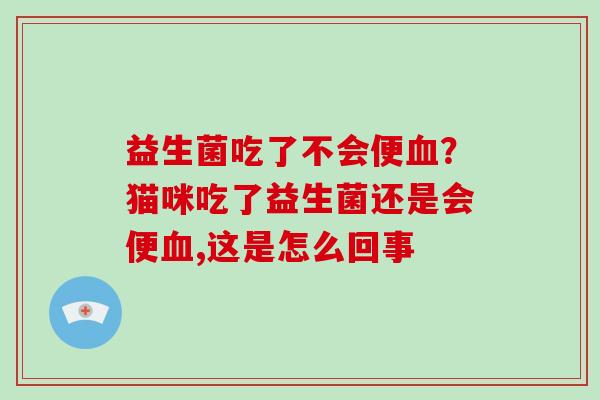 益生菌吃了不会便血？猫咪吃了益生菌还是会便血,这是怎么回事