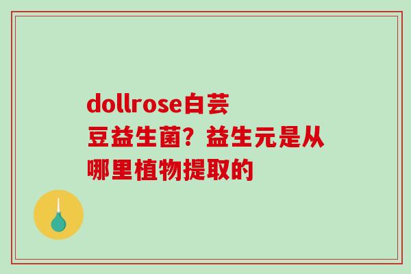 dollrose白芸豆益生菌？益生元是从哪里植物提取的