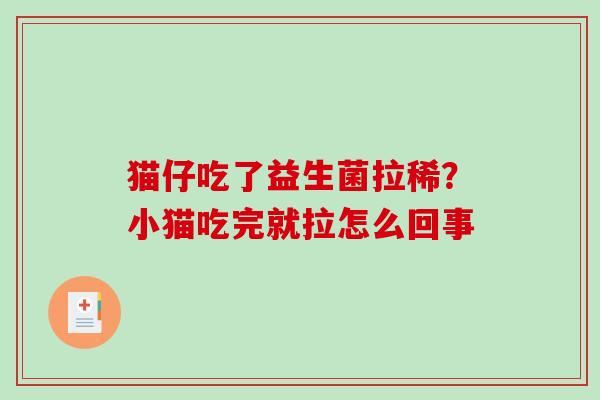 猫仔吃了益生菌拉稀？小猫吃完就拉怎么回事