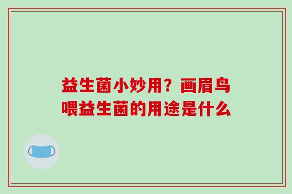 益生菌小妙用？画眉鸟喂益生菌的用途是什么