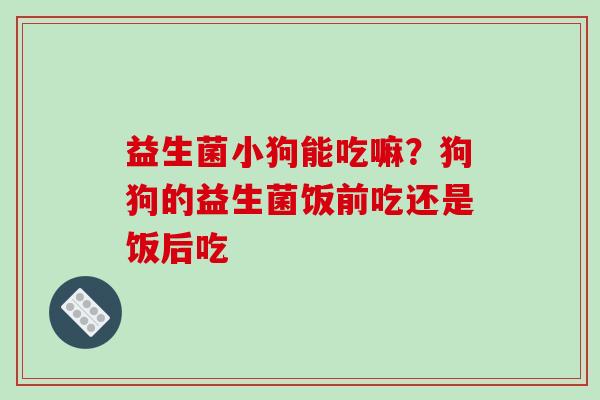 益生菌小狗能吃嘛？狗狗的益生菌饭前吃还是饭后吃