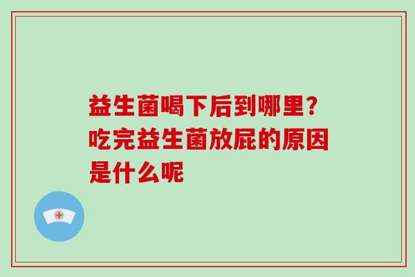 益生菌喝下后到哪里？吃完益生菌放屁的原因是什么呢