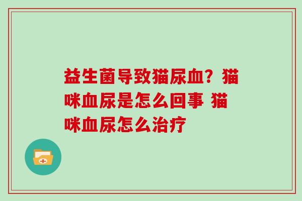 益生菌导致猫尿血？猫咪血尿是怎么回事 猫咪血尿怎么治疗