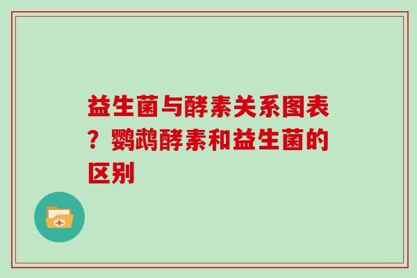 益生菌与酵素关系图表?鹦鹉酵素和益生菌的区别 益生菌与酵素关系图表?鹦鹉酵素和益生菌的区别