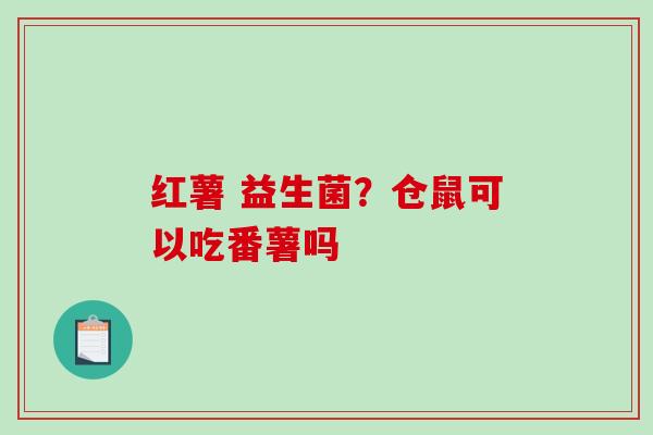 红薯 益生菌？仓鼠可以吃番薯吗