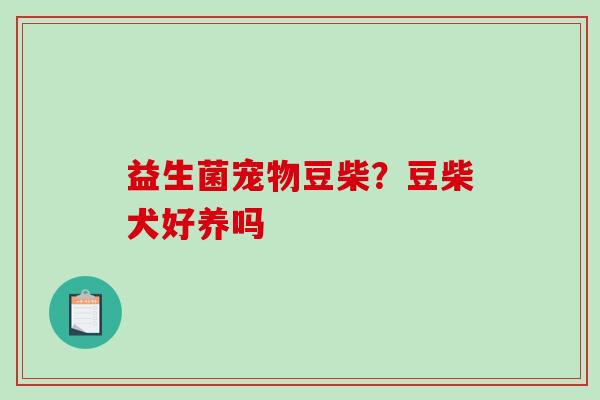 益生菌宠物豆柴？豆柴犬好养吗