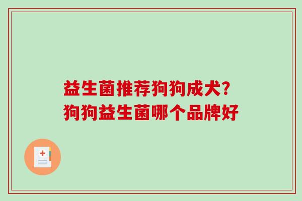 益生菌推荐狗狗成犬?狗狗益生菌哪个品牌好 益生菌推荐狗狗成犬?狗狗益生菌哪个品牌好