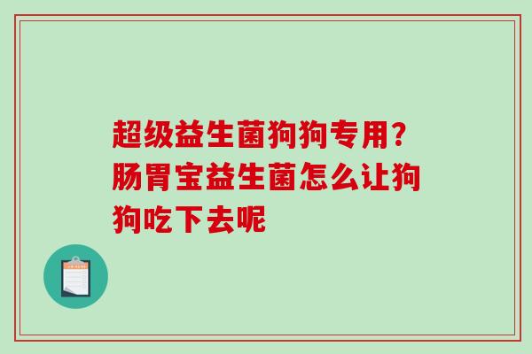 超级益生菌狗狗专用？肠胃宝益生菌怎么让狗狗吃下去呢