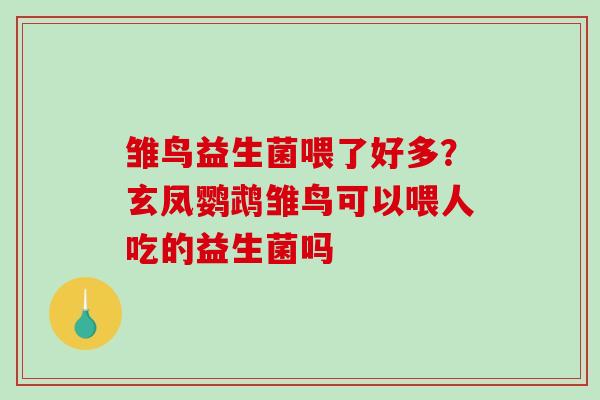 雏鸟益生菌喂了好多？玄凤鹦鹉雏鸟可以喂人吃的益生菌吗