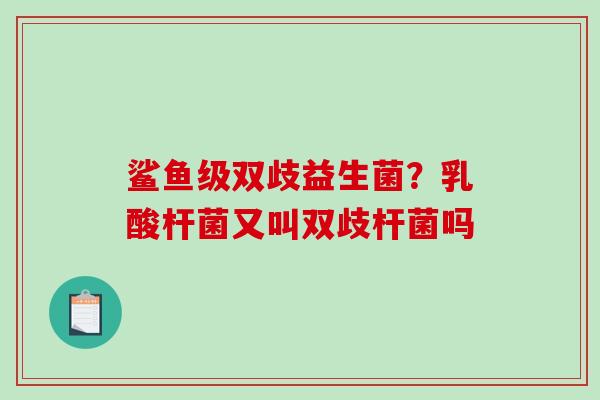 鲨鱼级双歧益生菌？乳酸杆菌又叫双歧杆菌吗