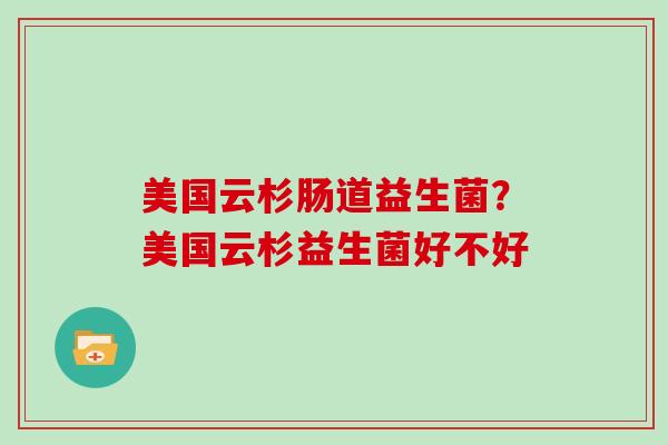 美国云杉肠道益生菌？美国云杉益生菌好不好