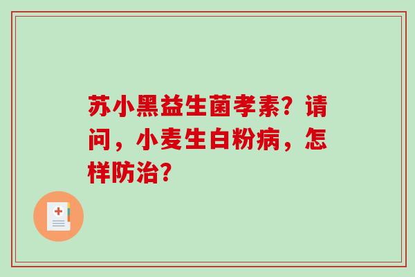 苏小黑益生菌孝素？请问，小麦生白粉病，怎样防治？