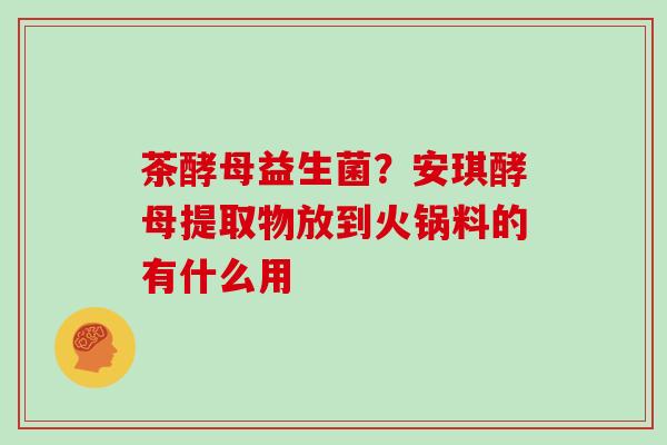 茶酵母益生菌？安琪酵母提取物放到火锅料的有什么用