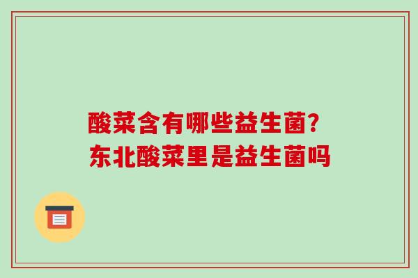 酸菜含有哪些益生菌？东北酸菜里是益生菌吗