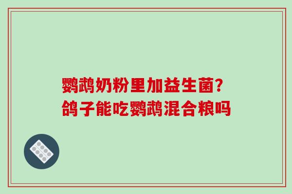 鹦鹉奶粉里加益生菌？鸽子能吃鹦鹉混合粮吗