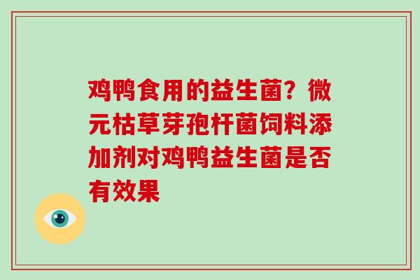 鸡鸭食用的益生菌？微元枯草芽孢杆菌饲料添加剂对鸡鸭益生菌是否有效果