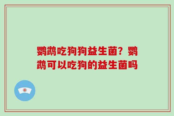 鹦鹉吃狗狗益生菌？鹦鹉可以吃狗的益生菌吗