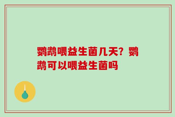 鹦鹉喂益生菌几天？鹦鹉可以喂益生菌吗