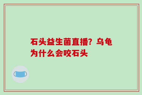 石头益生菌直播？乌龟为什么会咬石头