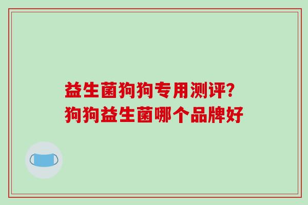 益生菌狗狗专用测评？狗狗益生菌哪个品牌好