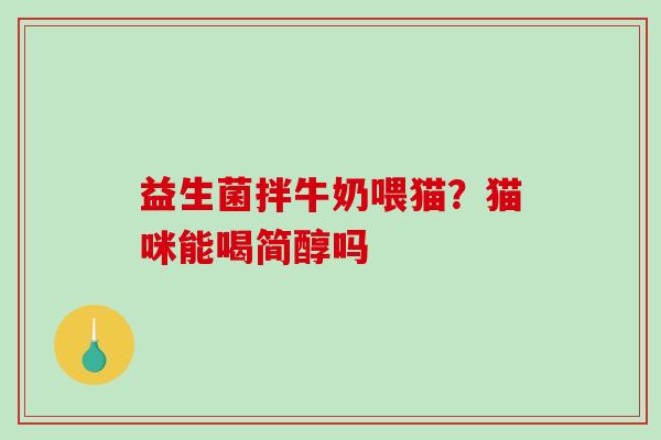 益生菌拌牛奶喂猫？猫咪能喝简醇吗