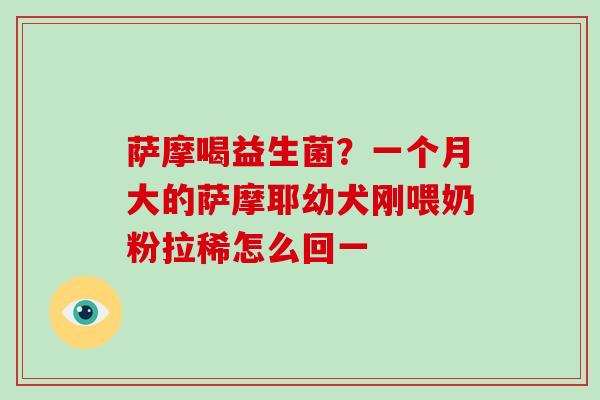 萨摩喝益生菌?一个月大的萨摩耶幼犬刚喂奶粉拉稀怎么回一 萨摩喝益生菌?一个月大的萨摩耶幼犬刚喂奶粉拉稀怎么回一