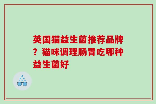 英国猫益生菌推荐品牌？猫咪调理肠胃吃哪种益生菌好