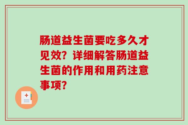 肠道益生菌要吃多久才见效？详细解答肠道益生菌的作用和用药注意事项？