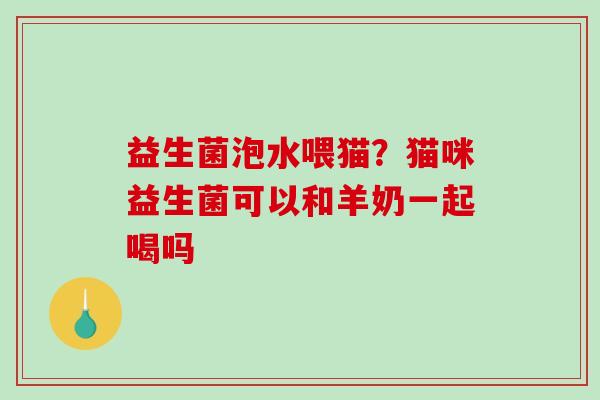 益生菌泡水喂猫？猫咪益生菌可以和羊奶一起喝吗