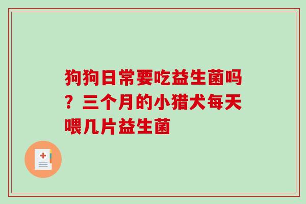 狗狗日常要吃益生菌吗？三个月的小猎犬每天喂几片益生菌