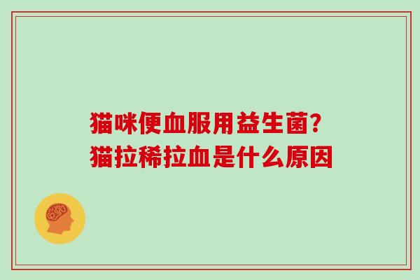 猫咪便服用益生菌？猫拉稀拉是什么原因