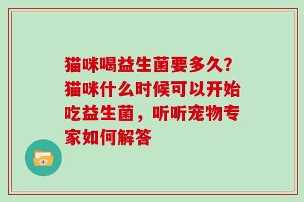 猫咪喝益生菌要多久?猫咪什么时候可以开始吃益生菌,听听宠物专家如何解答 猫咪喝益生菌要多久?猫咪什么时候可以开始吃益生菌,听听宠物专家如何解答