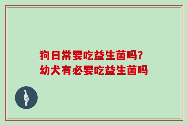 狗日常要吃益生菌吗？幼犬有必要吃益生菌吗