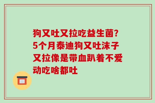狗又吐又拉吃益生菌？5个月泰迪狗又吐沫子又拉像是带血趴着不爱动吃啥都吐