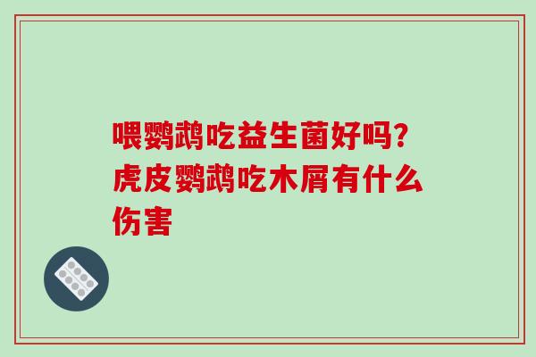 喂鹦鹉吃益生菌好吗？虎皮鹦鹉吃木屑有什么伤害