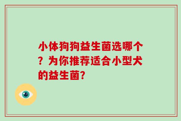 小体狗狗益生菌选哪个?为你推荐适合小型犬的益生菌? 小体狗狗益生菌选哪个?为你推荐适合小型犬的益生菌?