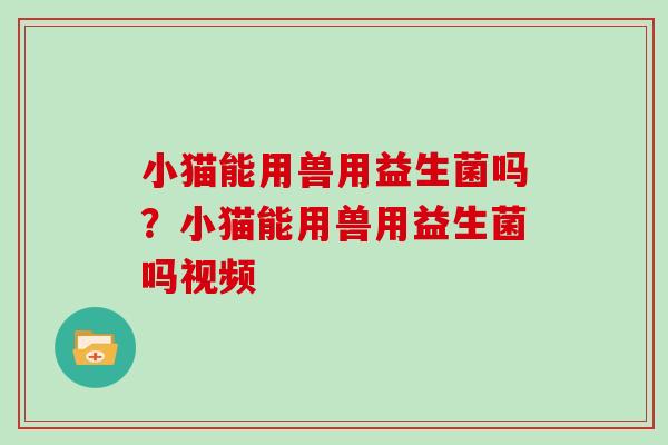 小猫能用兽用益生菌吗?小猫能用兽用益生菌吗视频 小猫能用兽用益生菌吗?小猫能用兽用益生菌吗视频