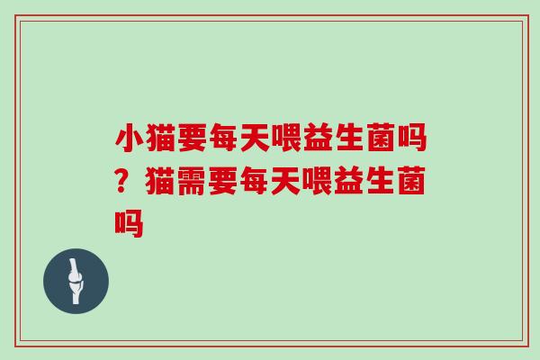 小猫要每天喂益生菌吗？猫需要每天喂益生菌吗