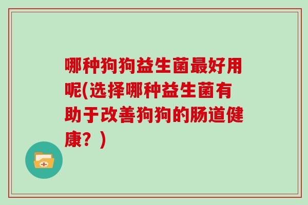 哪种狗狗益生菌最好用呢(选择哪种益生菌有助于改善狗狗的肠道健康？)
