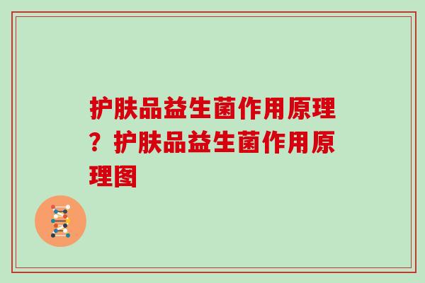 护肤品益生菌作用原理？护肤品益生菌作用原理图