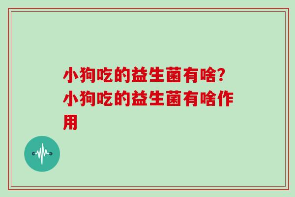 小狗吃的益生菌有啥？小狗吃的益生菌有啥作用