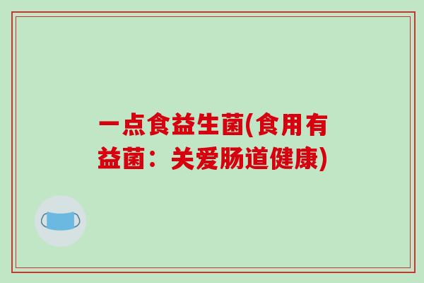 一点食益生菌(食用有益菌：关爱肠道健康)