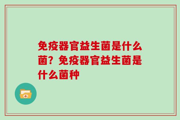 免疫器官益生菌是什么菌？免疫器官益生菌是什么菌种