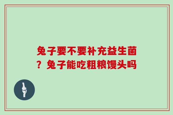 兔子要不要补充益生菌？兔子能吃粗粮馒头吗