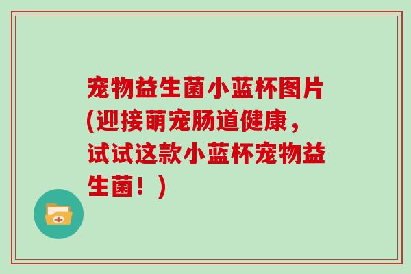 宠物益生菌小蓝杯图片(迎接萌宠肠道健康，试试这款小蓝杯宠物益生菌！)